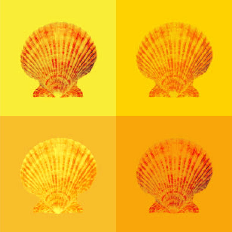 (4 SHELLS GRAPHIC)