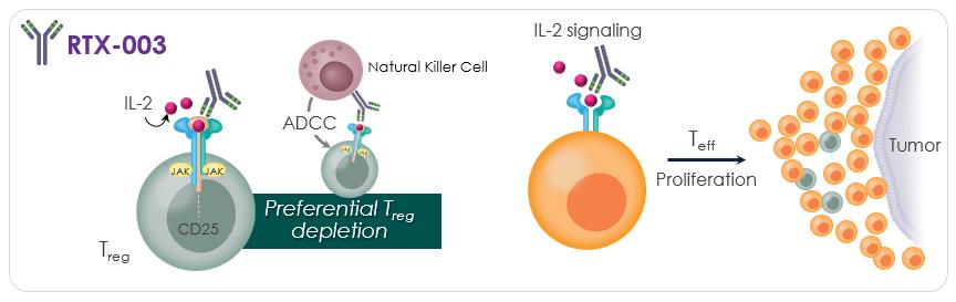 Diagram
Description automatically generated