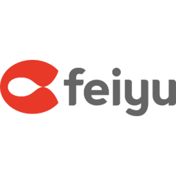 Feiyu Technology International Company Logo