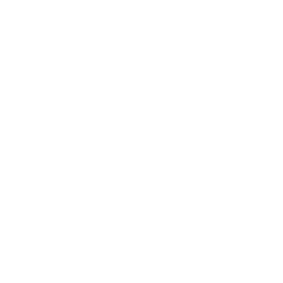 Pegatron (4938.TW) - Dividends