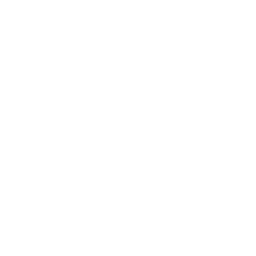 ADI Global Distribution (ADIG) - Market capitalization