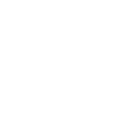 Adverum Biotechnologies (ADVM) - Total debt