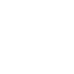 Aether Industries (AETHER.NS) - Net Assets
