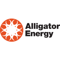 Alligator Energy Logo