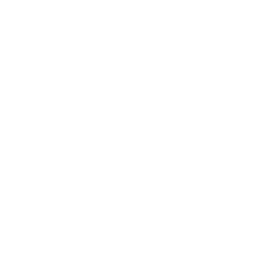 Avalon Globocare Corp Stock