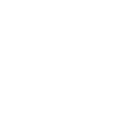 Abercrombie & Fitch (ANF) - Dividend Yield