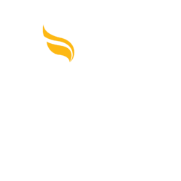 Apollo Hospitals - Annual Reports