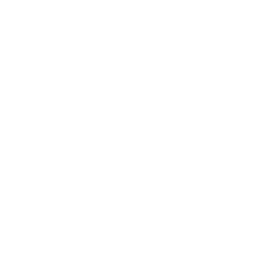 ASML (ASML) - Dividendes