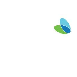 Avah N Aveanna Healthcare (AVAH) - Market capitalization