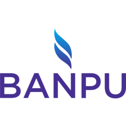 Banpu Public Company Logo