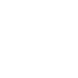 BIC - Rapports annuels