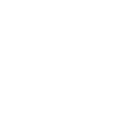 Bombardier (BBD-B.TO) - Historique Des Divisions D'actions