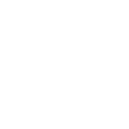 Black Box (BBOX.NS) - Total assets