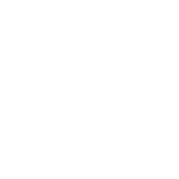 Boxlight (BOXL) - Revenue