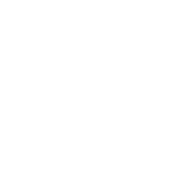 BWX Technologies (BWXT) - Gesamtschulden