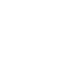 Beazer Homes USA (BZH) - Nettovermögen