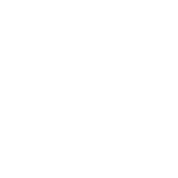 CNH Industrial (CNHI) - Revenue