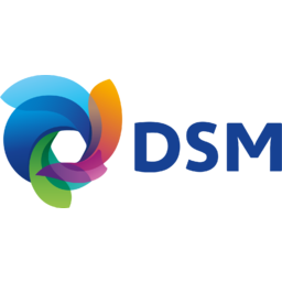 Koninklijke DSM Logo