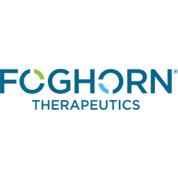 Foghorn Therapeutics Logo