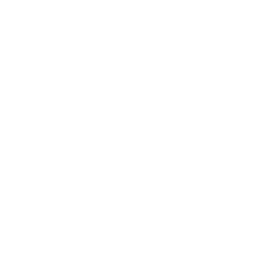 Gevo (GEVO) - Stock split history