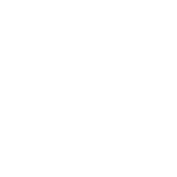 Hallmark Financial Services (HALL) - Dividends