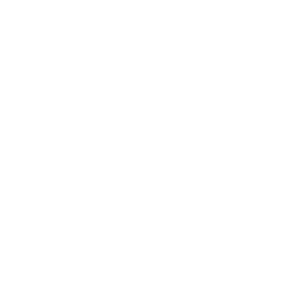 Hyzon Motors (HYZN) - Market capitalization