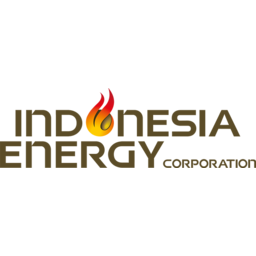 Indonesia Energy Logo