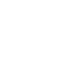 Kinnevik (KINV-A.ST) - Net Assets