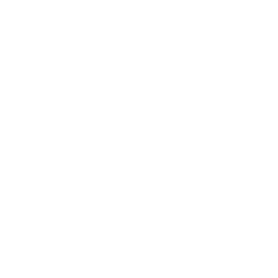 Lanzatech Global (lnza) - Total Assets