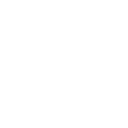 main street capital main dividend