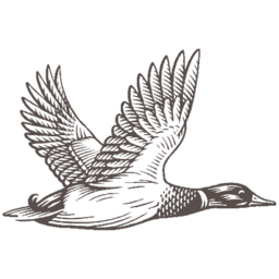 The Duckhorn Portfolio Logo