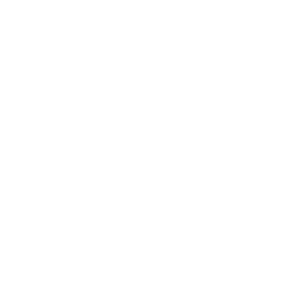 Ola Electric Mobility (OLAELEC.NS) - Stock price history