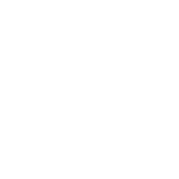 Pilbara Minerals (PLS.AX) - Market Capitalization