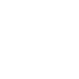 Palantir (PLTR) - Gewinn