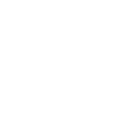 Purmo Group (PURMO.HE) - Dividends