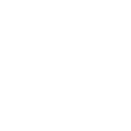 Raven Industries (RAVN) - P/E ratio