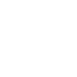 Renovaro Biosciences (RENB) - P/B Ratio