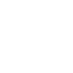 Regencell Bioscience - 20-F annual report 2025