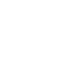 Robert Walters (RWA.L) - Revenue
