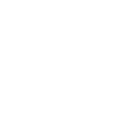 Standard Lithium (SLI) - P/E Ratio