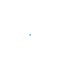 Streamline Health Solutions (STRM) - P/E ratio