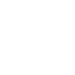 Smith & Wesson (SWBI) - P/E ratio