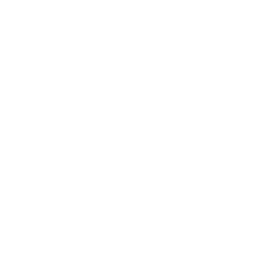 Tiny Ltd. (TINY.V) Cash on Hand