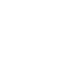 The Platform Group (TPG.F) - Market capitalization