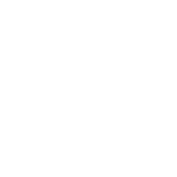 Trent Limited (TRENT.NS) - Marktkapitalisierung