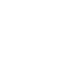 Van de Velde (VAN.BR) - Revenue