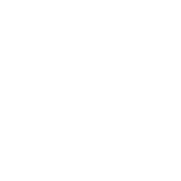 Viatris (VTRS) - Stock split history