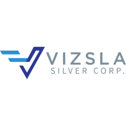 Vizsla Silver Logo