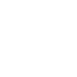 Wdi Stock Wirecard (WDI.F) - Stock price history