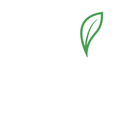 Yellow Cake plc (YCA.L) - Market capitalization